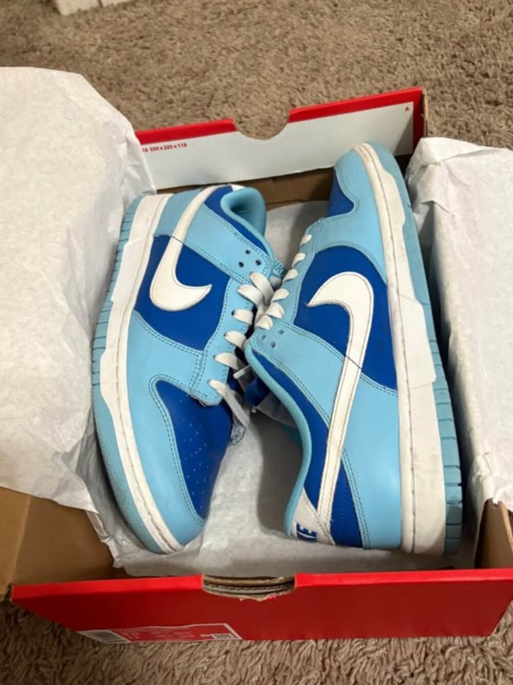 Nike Dunk Low Retro Argon